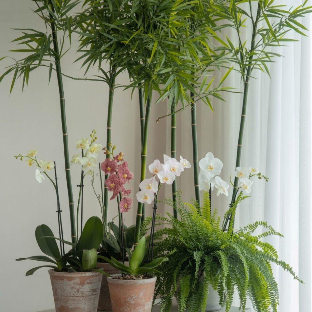 akcesoria ogrodnicze bambus