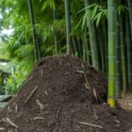 ziemia ogrodowa dla bambusa